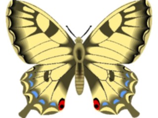 Sticker Custom Preview Image #023746 Animals Insects Butterfly091