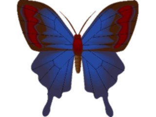 Sticker Custom Preview Image #023748 Animals Insects Butterfly093