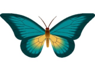 Sticker Custom Preview Image #023749 Animals Insects Butterfly094