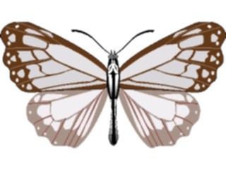 Sticker Custom Preview Image #023750 Animals Insects Butterfly095