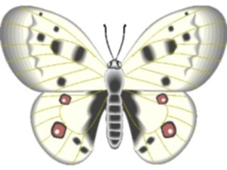 Sticker Custom Preview Image #023751 Animals Insects Butterfly096