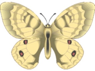 Sticker Custom Preview Image #023753 Animals Insects Butterfly098