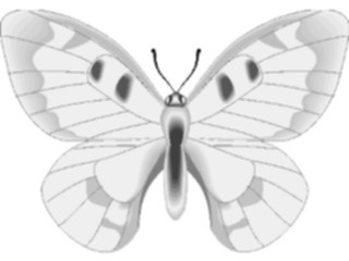 Sticker Custom Preview Image #023754 Animals Insects Butterfly099