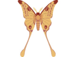 Sticker Custom Preview Image #023755 Animals Insects Butterfly100