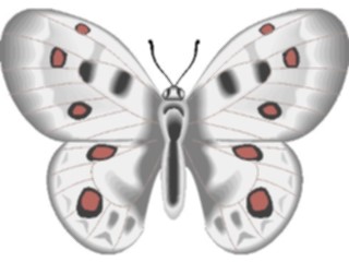 Sticker Custom Preview Image #023756 Animals Insects Butterfly101