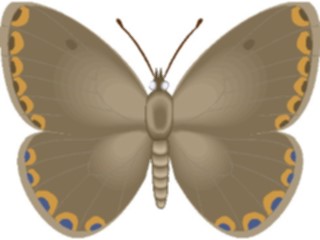 Sticker Custom Preview Image #023757 Animals Insects Butterfly102