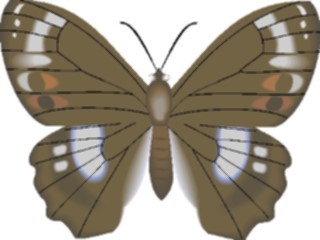 Sticker Custom Preview Image #023759 Animals Insects Butterfly104