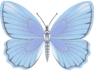 Sticker Custom Preview Image #023760 Animals Insects Butterfly105