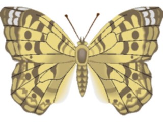Sticker Custom Preview Image #023763 Animals Insects Butterfly108
