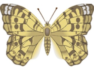 Sticker Custom Preview Image #023763 Animals Insects Butterfly108