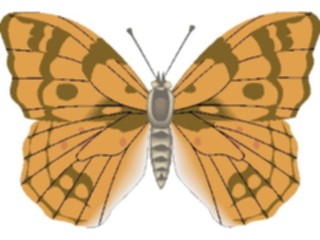Sticker Custom Preview Image #023764 Animals Insects Butterfly109