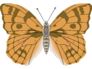 Sticker Custom Preview Image #023764 Animals Insects Butterfly109