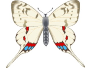 Sticker Custom Preview Image #023765 Animals Insects Butterfly110