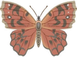 Sticker Custom Preview Image #023768 Animals Insects Butterfly113