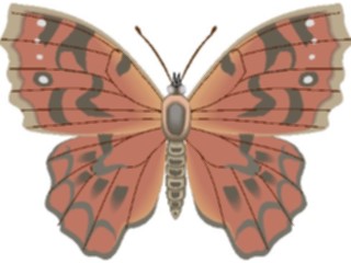 Sticker Custom Preview Image #023768 Animals Insects Butterfly113