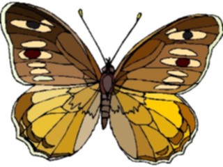 Sticker Custom Preview Image #023770 Animals Insects Butterfly115