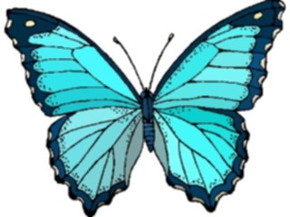 Sticker Custom Preview Image #023774 Animals Insects Butterfly119