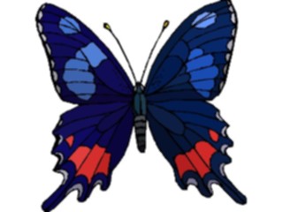 Sticker Custom Preview Image #023775 Animals Insects Butterfly120