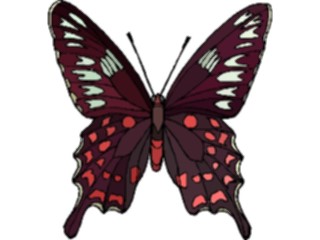 Sticker Custom Preview Image #023776 Animals Insects Butterfly121