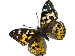 Sticker Custom Preview Image #023778 Animals Insects Butterfly123