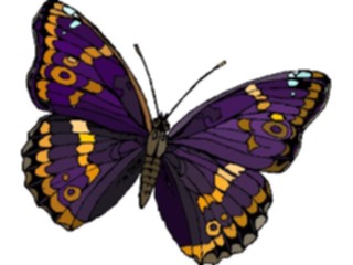 Sticker Custom Preview Image #023779 Animals Insects Butterfly124