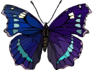 Sticker Custom Preview Image #023780 Animals Insects Butterfly125