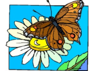 Sticker Custom Preview Image #023782 Animals Insects Butterfly127