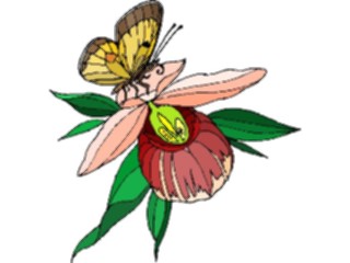 Sticker Custom Preview Image #023785 Animals Insects Butterfly130