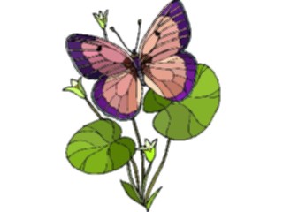 Sticker Custom Preview Image #023788 Animals Insects Butterfly133