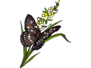 Sticker Custom Preview Image #023790 Animals Insects Butterfly135