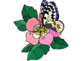 Sticker Custom Preview Image #023791 Animals Insects Butterfly136