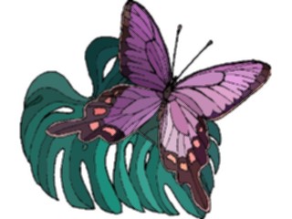 Sticker Custom Preview Image #023792 Animals Insects Butterfly137