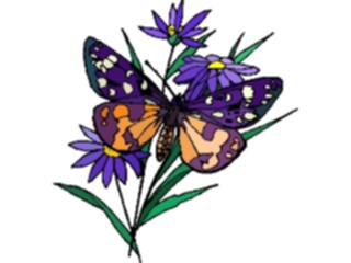 Sticker Custom Preview Image #023793 Animals Insects Butterfly138