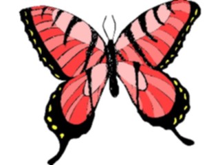 Sticker Custom Preview Image #023798 Animals Insects Butterfly143