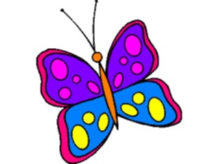 Sticker Custom Preview Image #023802 Animals Insects Butterfly147