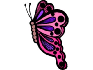 Sticker Custom Preview Image #023804 Animals Insects Butterfly149