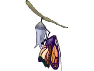 Sticker Custom Preview Image #023811 Animals Insects Butterfly Emerging1