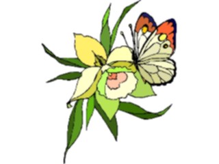 Sticker Custom Preview Image #023815 Animals Insects Butterfly Flower3