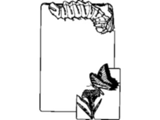 Sticker Custom Preview Image #023816 Animals Insects Butterfly Frame1