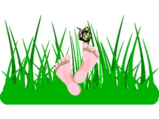 Sticker Custom Preview Image #023820 Animals Insects Butterflyon Feet