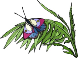 Sticker Custom Preview Image #023821 Animals Insects Butterfly Plant
