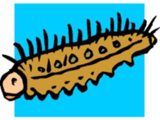 Sticker Custom Preview Image #023822 Animals Insects Caterpillar1
