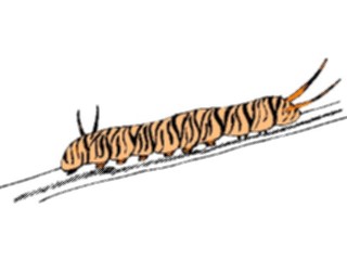 Sticker Custom Preview Image #023830 Animals Insects Caterpillar9