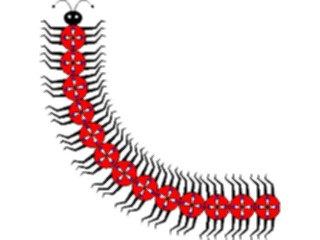 Sticker Custom Preview Image #023831 Animals Insects Centipede1