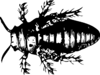 Sticker Custom Preview Image #023837 Animals Insects Crawling Insect04