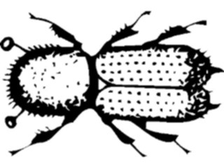 Sticker Custom Preview Image #023842 Animals Insects Crawling Insect09