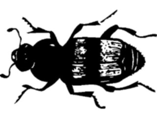 Sticker Custom Preview Image #023844 Animals Insects Crawling Insect11