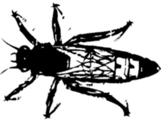 Sticker Custom Preview Image #023845 Animals Insects Crawling Insect12