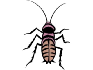 Sticker Custom Preview Image #023846 Animals Insects Crawling Insect13