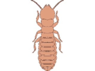 Sticker Custom Preview Image #023848 Animals Insects Crawling Insect15